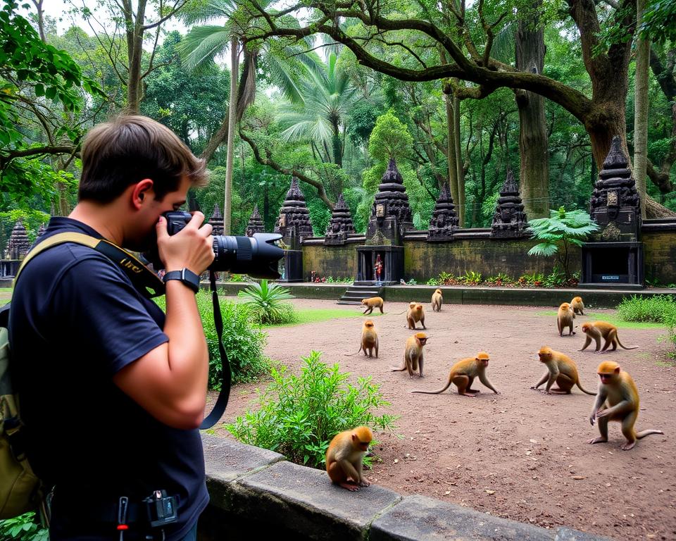 photography tips for monkeys